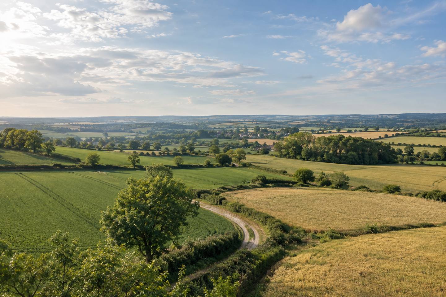 Paysage de campagne ouvert vu d'une hauteur modérée : champs, chemin de terre, haies et hameau lointain, grand ciel nuageux